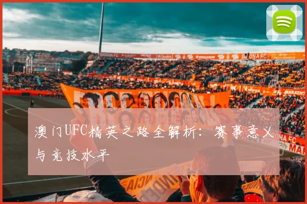 澳门UFC精英之路全解析:赛事意义与竞技水平