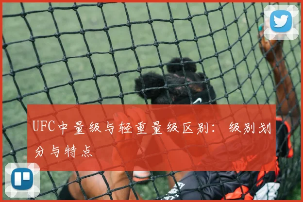 UFC中量级与轻重量级区别:级别划分与特点
