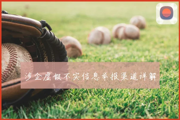 涉企虚假不实信息举报渠道详解