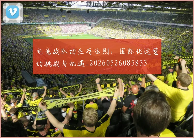 电竞战队的生存法则,国际化运营的挑战与机遇_20260526085833