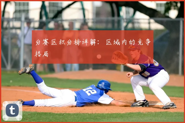 分赛区积分榜详解:区域内的竞争格局