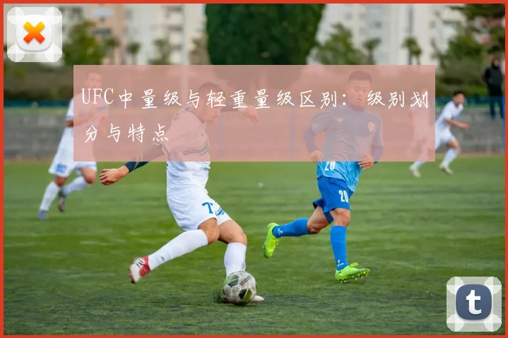 UFC中量级与轻重量级区别:级别划分与特点