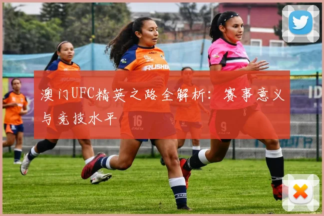 澳门UFC精英之路全解析：赛事意义与竞技水平