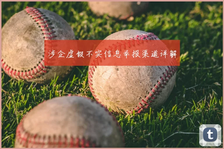 涉企虚假不实信息举报渠道详解